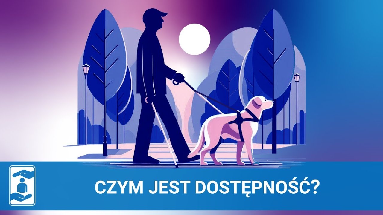 Czym jest dostępność i jakie są jej ramy prawne? – Paweł Potakowski | Wokół finansów #10