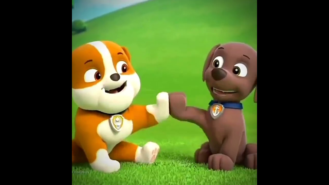 Paw patrol sad edit😢🐕
