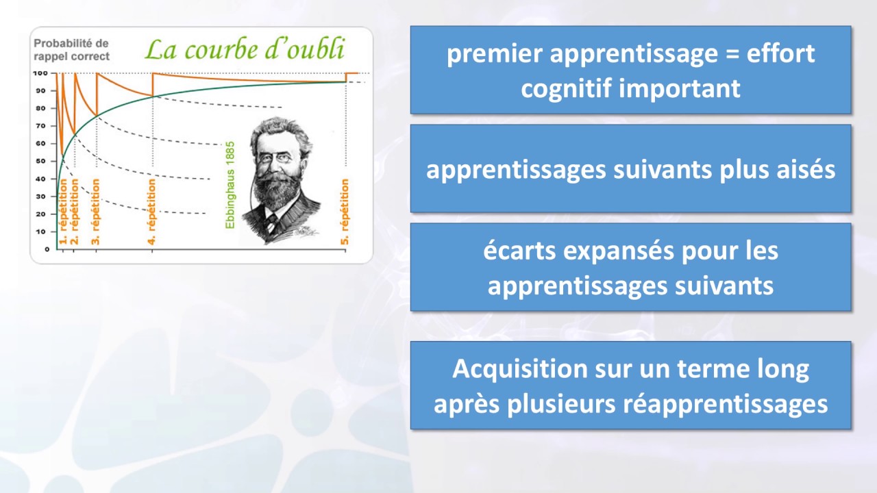 La consolidation mn&eacute;sique