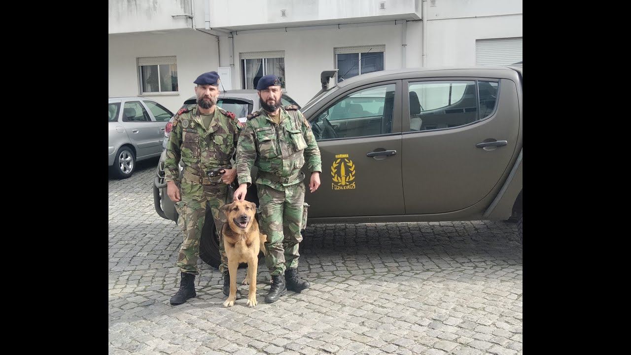 NÚCLEO CINOTÉCNICO DOS FUZILEIROS ADOTA PASTOR ALEMÃO