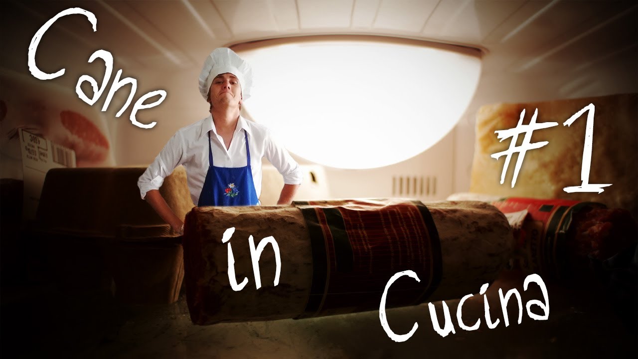 Cane in Cucina #1 - Cane Secco