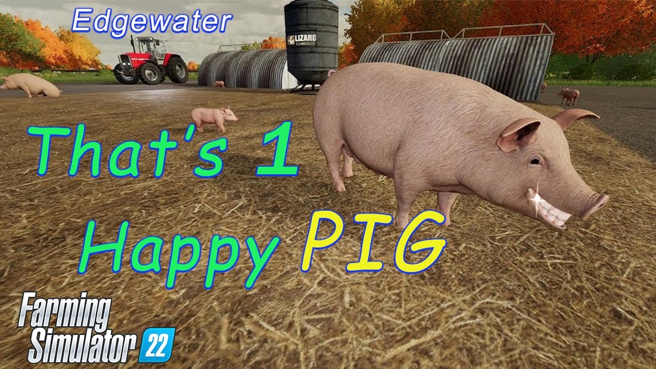 Working Hard To Keep Our Pigs Fat And Happy Here At Edgewater ep 15 Farming Simulator 22 Let's Play