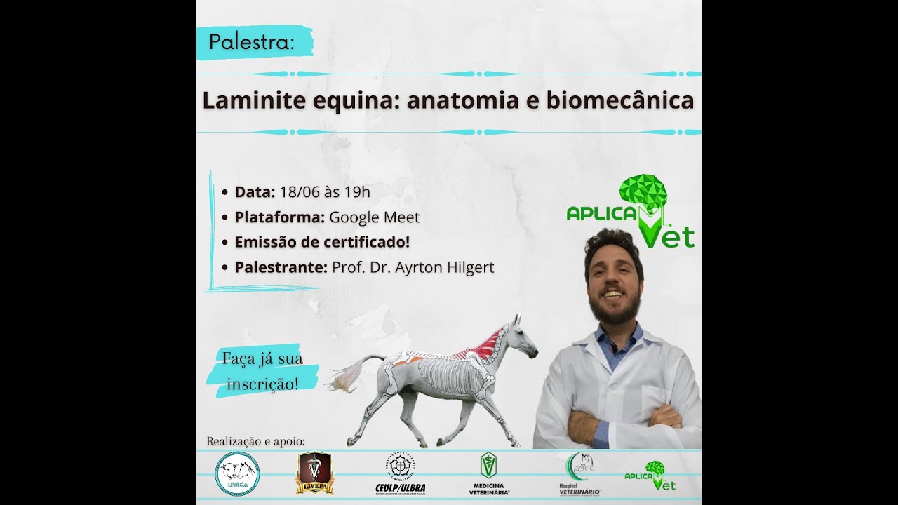 Laminite equina: anatomia e biomecânica
