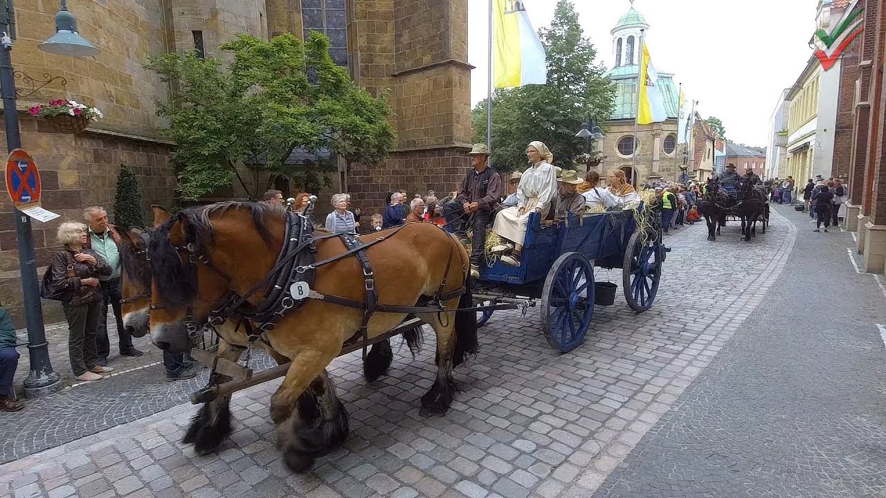 [03 Kutschenwallfahrt Telgte 2019] Kutschenkorso durch die historische Altstadt Telgtes