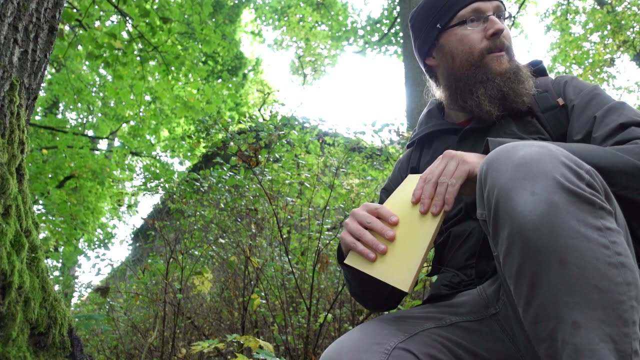 Die Quälgeister von Schloss Hofeck - Lokale Sage aus Hof/Saale