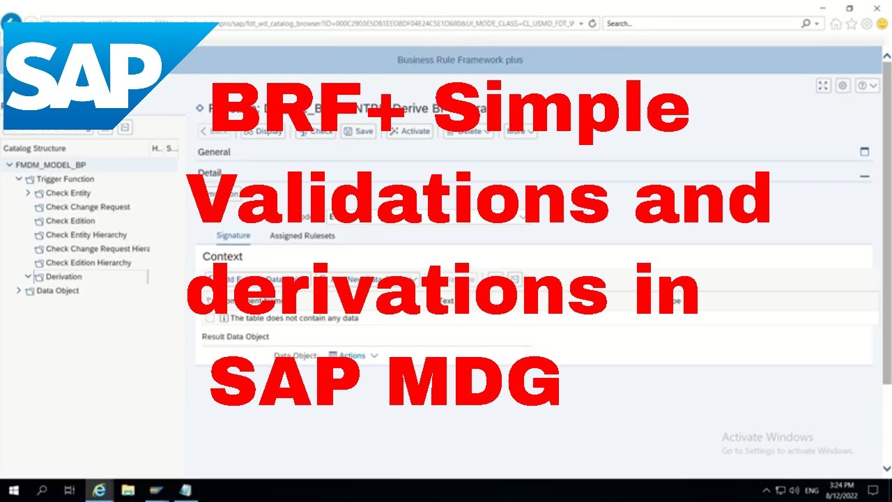 Проверка и вывод в BRF+ в SAP MDG