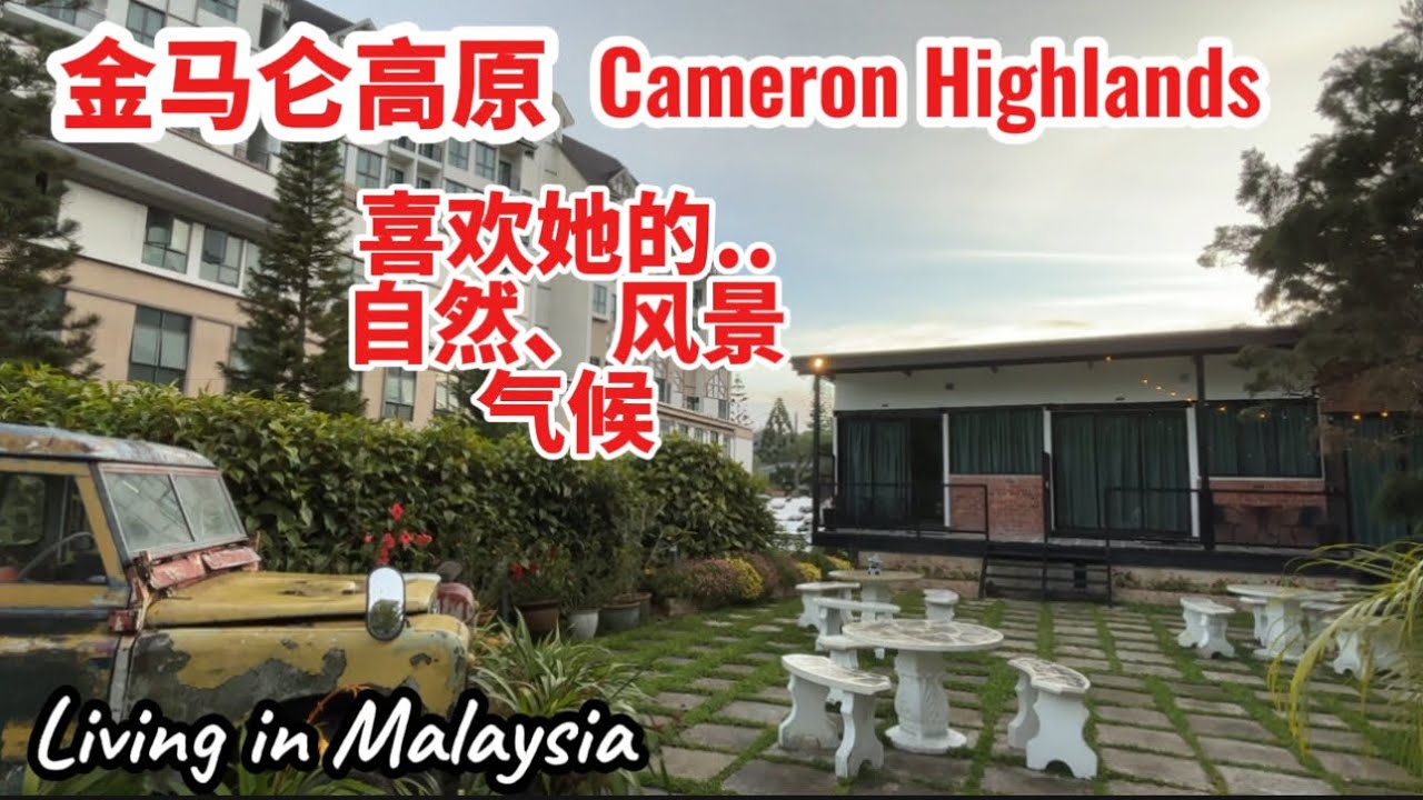 86) Look…! The climate & scenery of Cameron Highlands, Malaysia 🇲🇾 金马仑高原 慢生活 Retirement in Malaysia