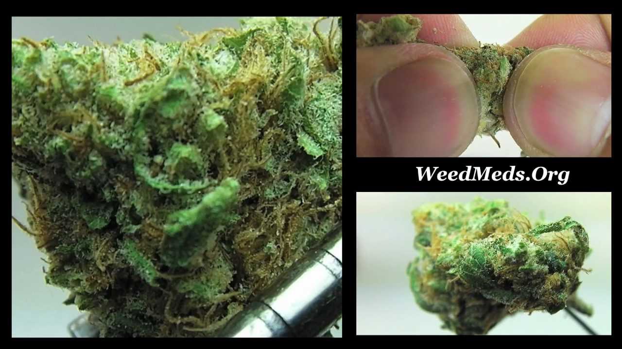 Nuggetry THC Bomb Strain from CPA