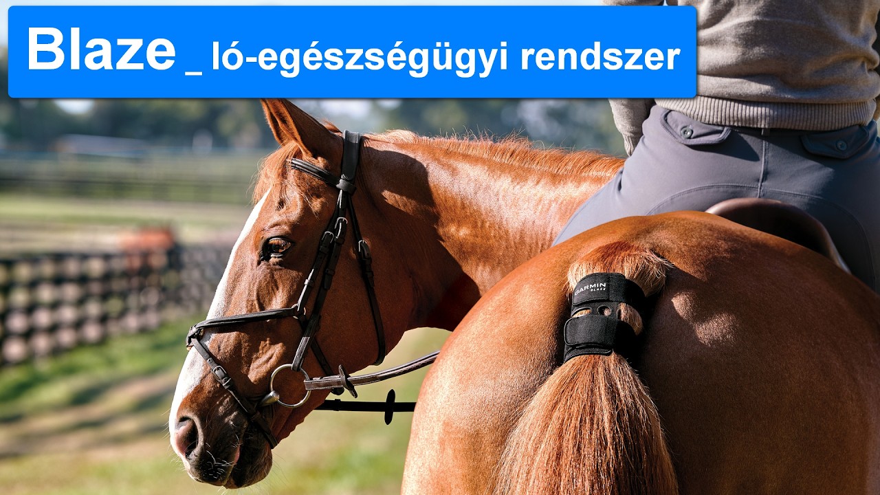 Garmin Blaze - ló-egészségügyi rendszer
