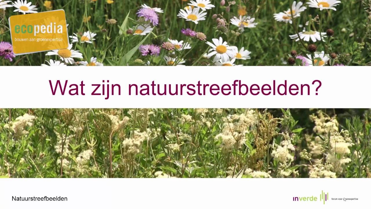 Natuurstreefbeelden