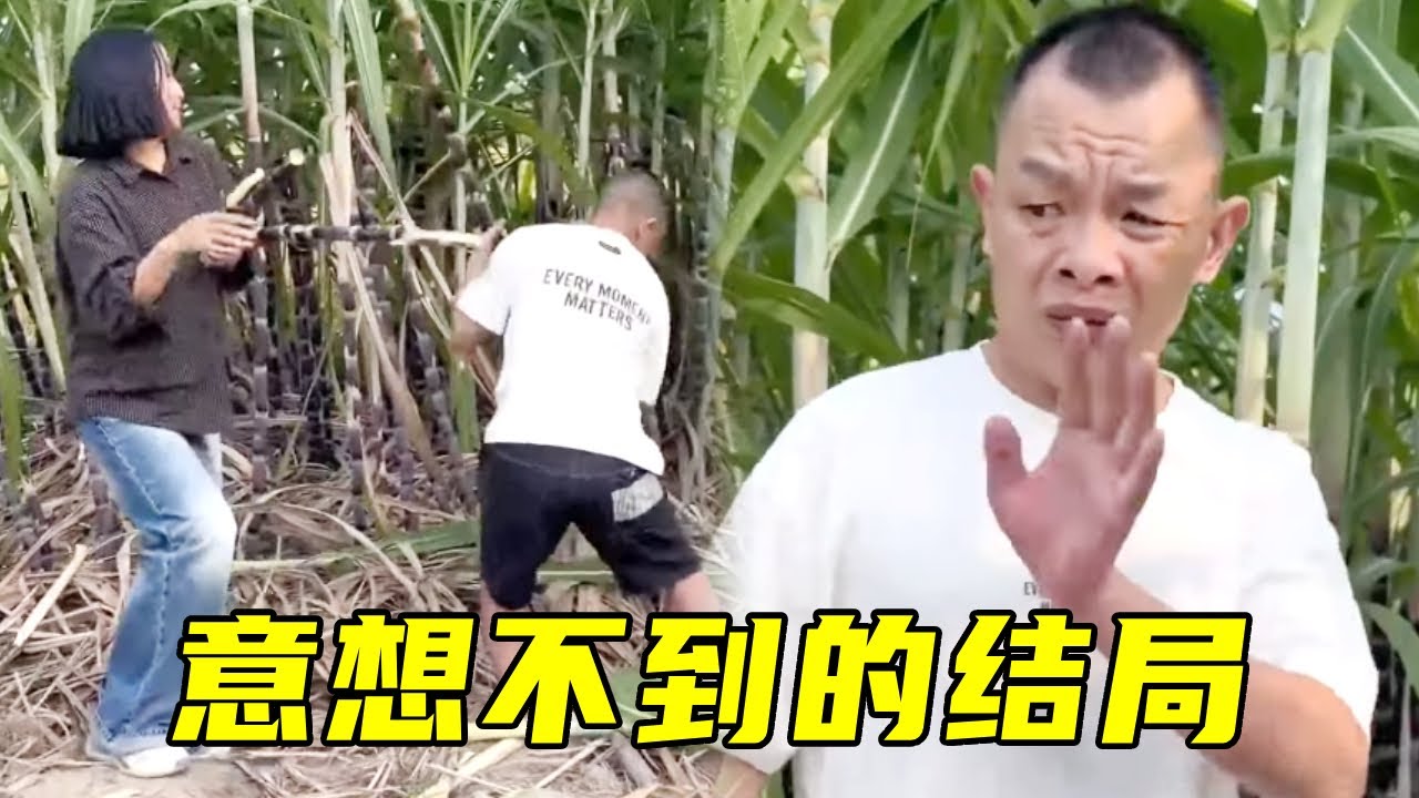 慧慧老表偷小杨家甘蔗，慧慧看到小杨过来拔腿就跑，剩老表一人承担赔偿！#万万没想到 #看完不笑算我输