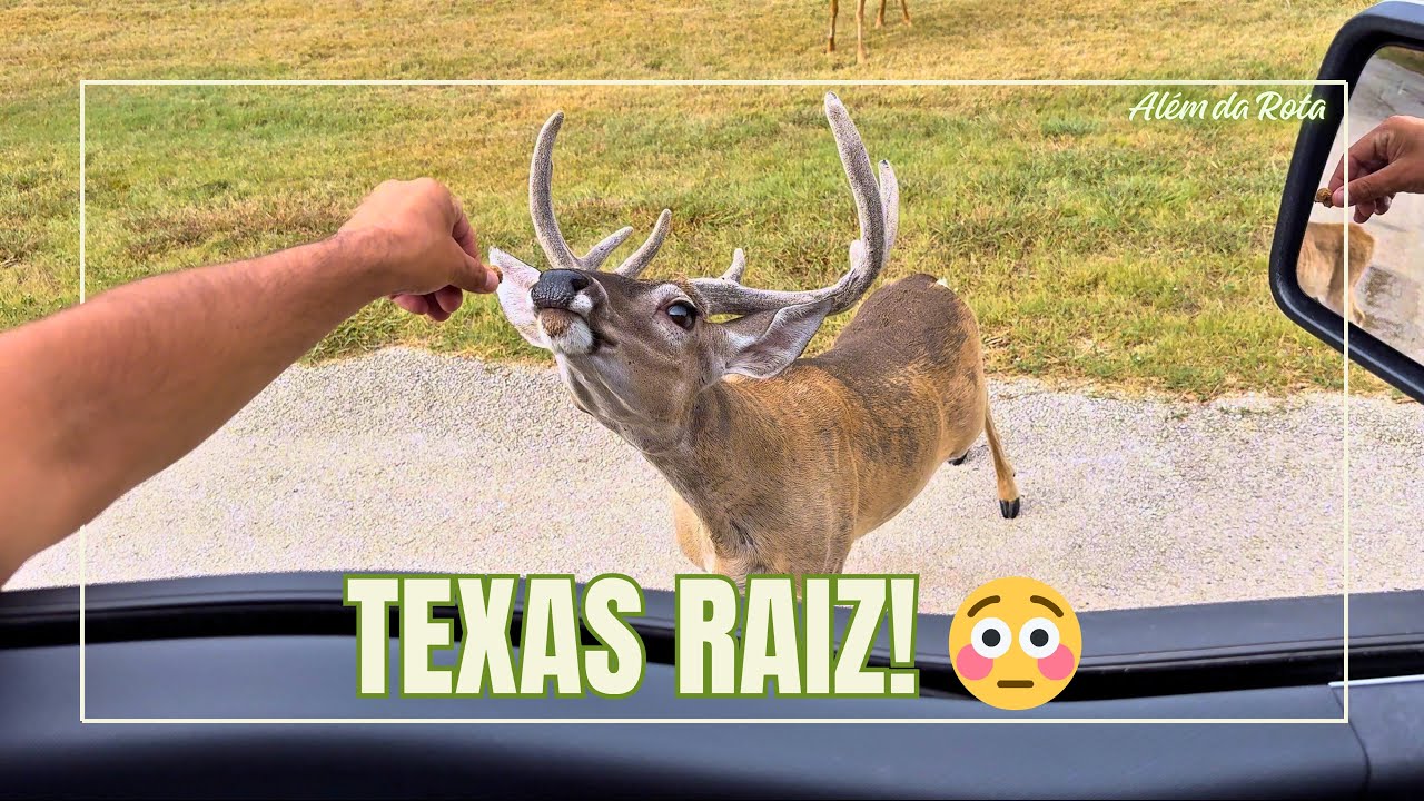 Um Lago SECO e a Capital dos COWBOYS: Nossa Última Aventura No Texas! | Além da Rota - Ep. 7