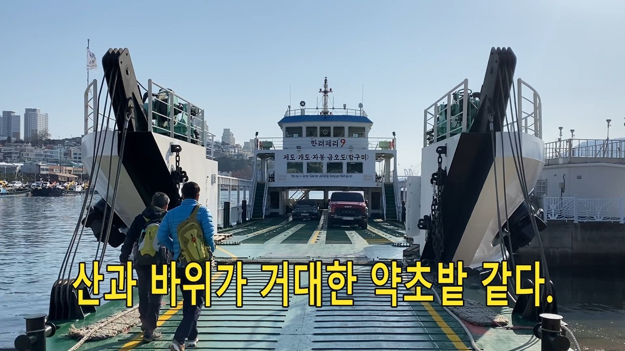 온 산과 바위가 약초밭 같다.