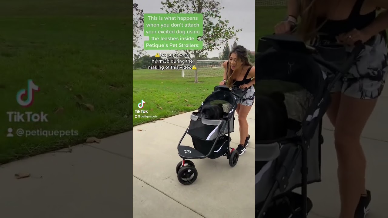 Petique pet strollers come with adjustable leashes inside to keep your pets safe and secure💚 #dogs