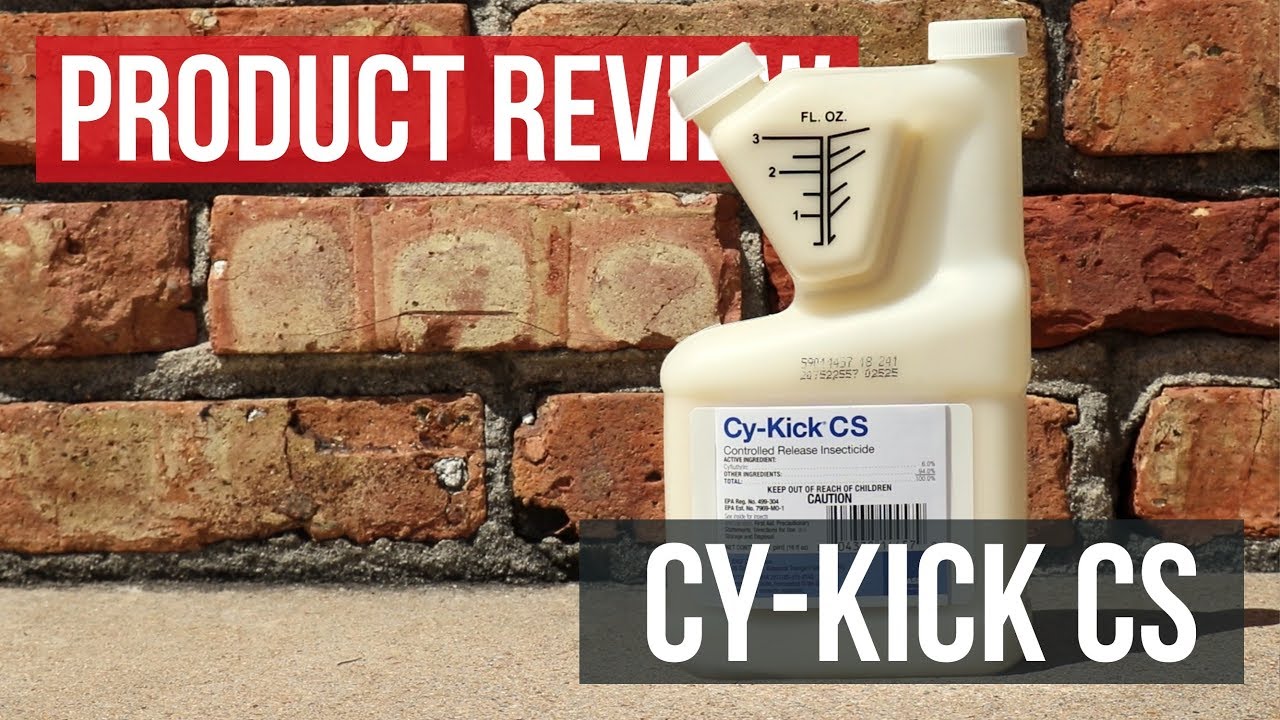Cy-Kick CS: Product Review