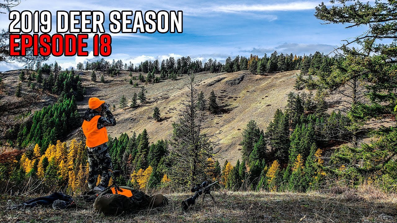 The Biggest Buck I've Ever Seen - Washington Public Land Giant | 2019 Hunting Season EP.18