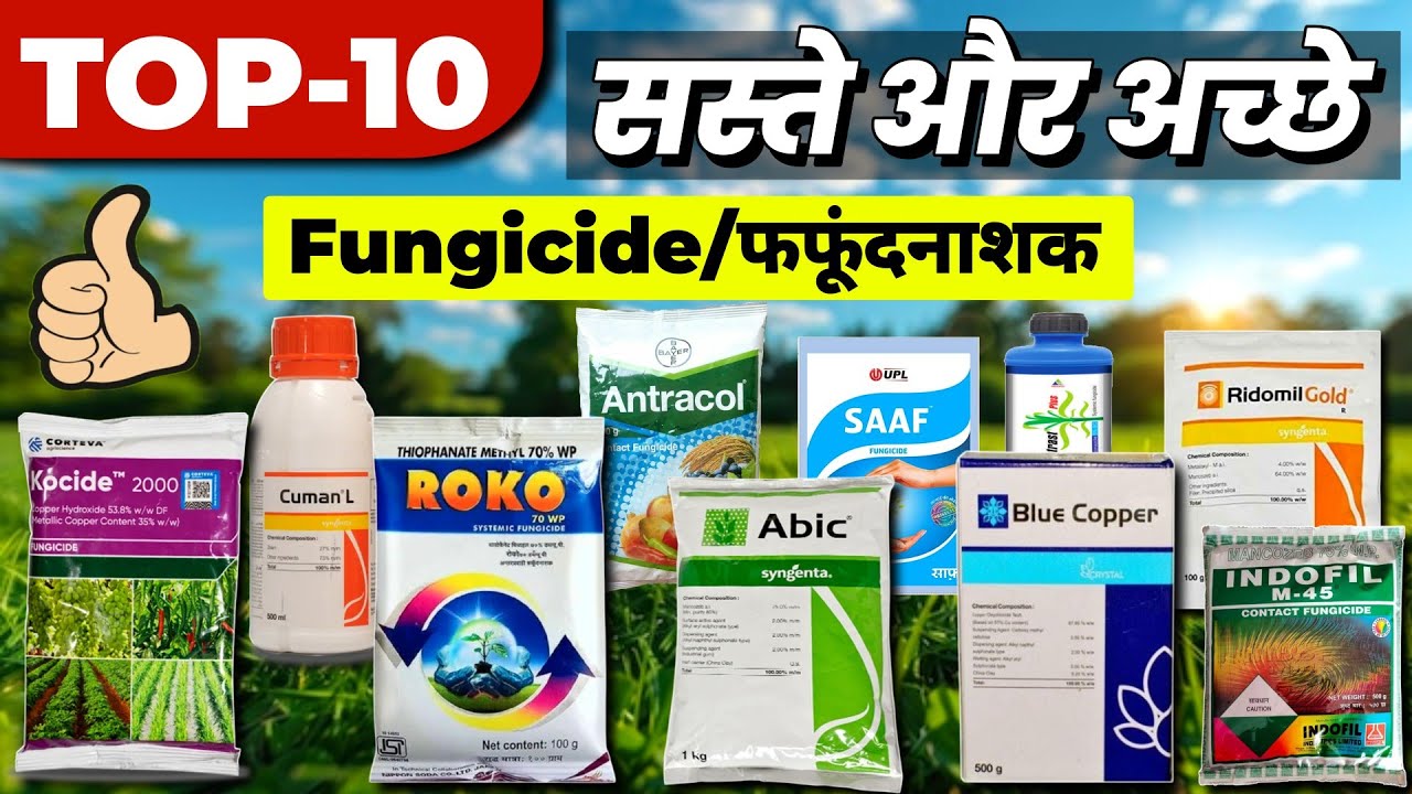 Top 10 Best Fungicide | सबसे सस्ते सबसे बेस्ट फफूंदनाशक | Best fungicide low price top 10 Fungicide