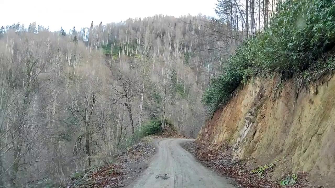 D&uuml;zce G&ouml;lyaka Şifalı Suya Gittik