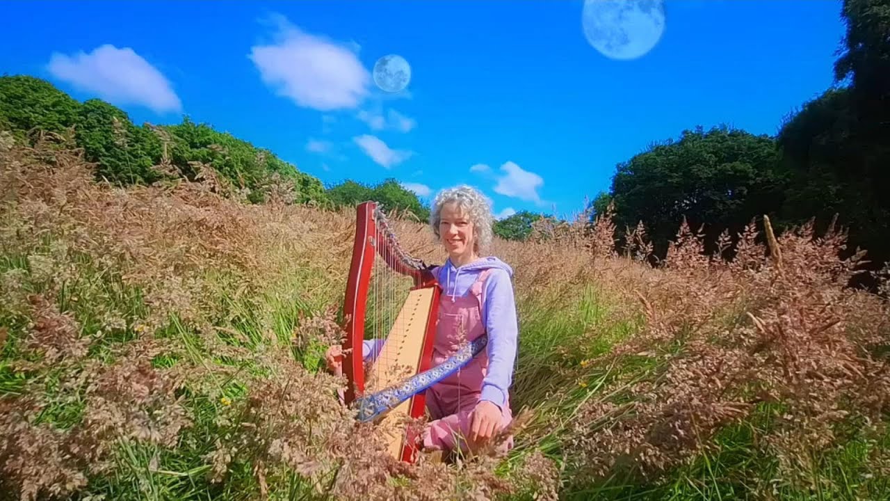 Shepherd Moons by Enya - Harp Larks