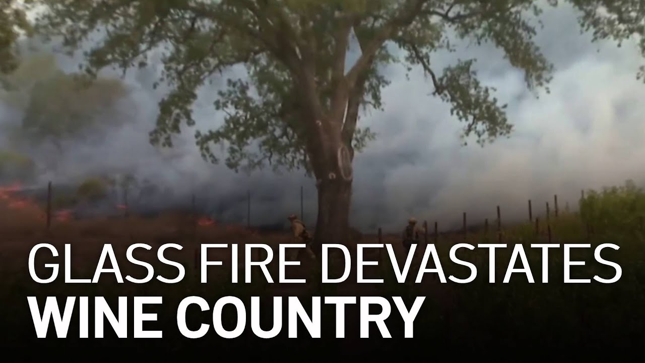 Growing Glass Fire Devastates Wine Country