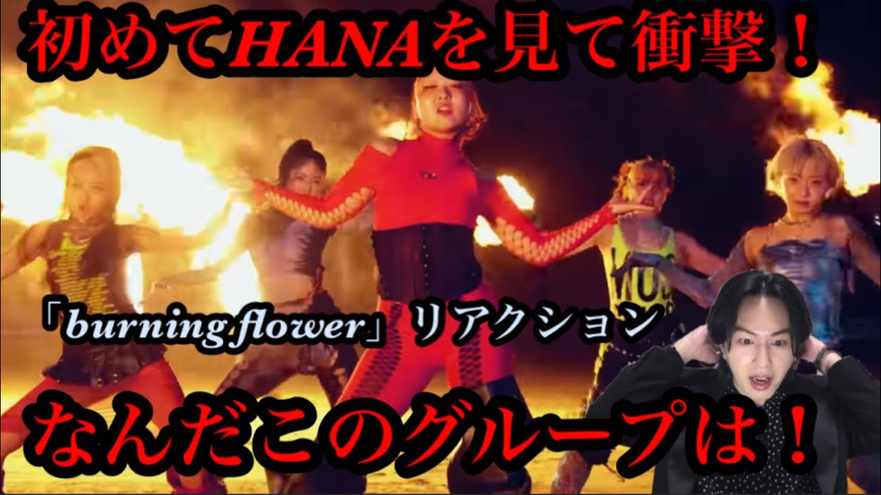 【完全初見】初めてHANAを見て衝撃！なんだこのグループはHANA / Burning Flower -Music Video- リアクション