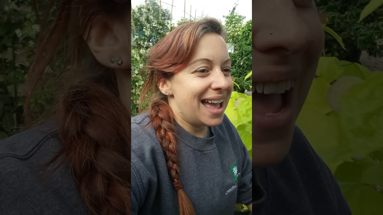 Wednesday walk around: week #9