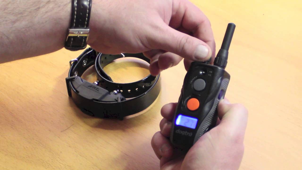 Dogtra ARC 800