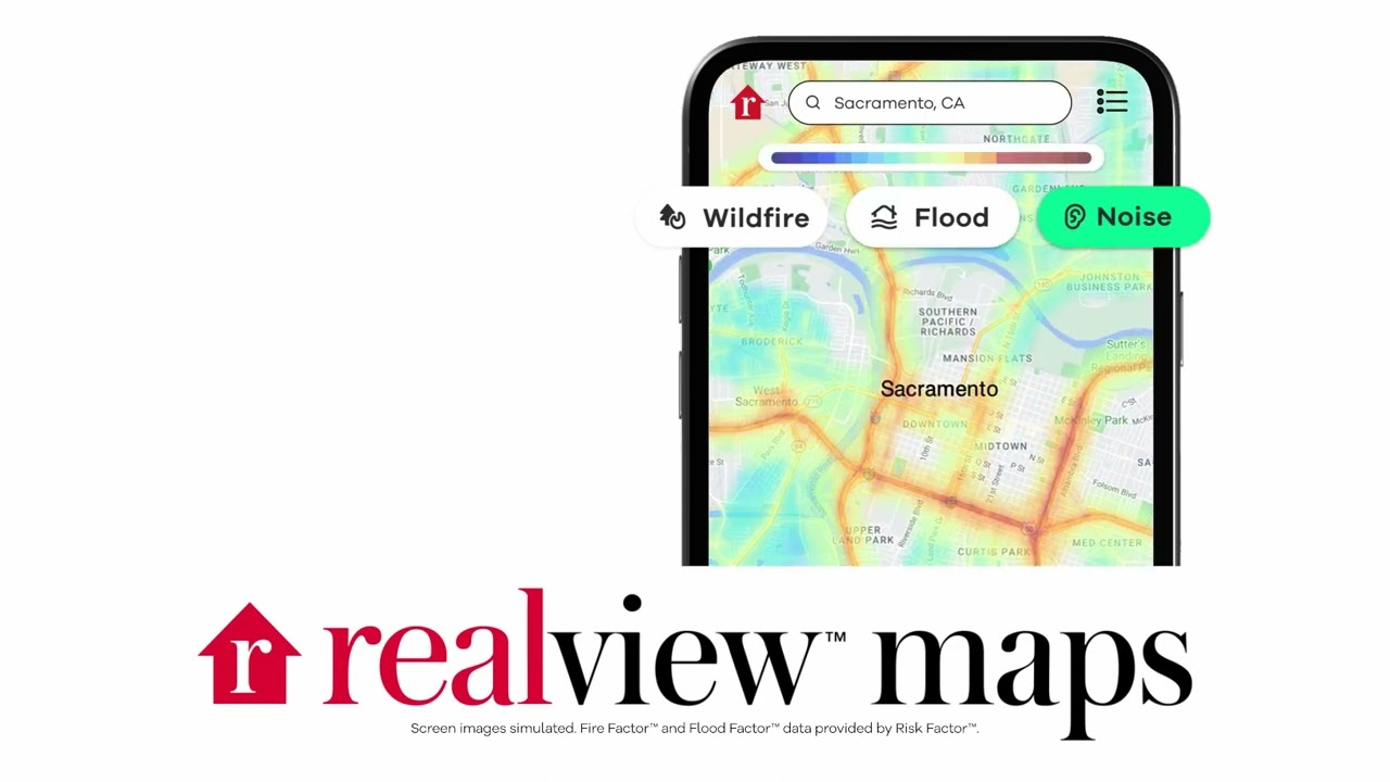 RealView Maps