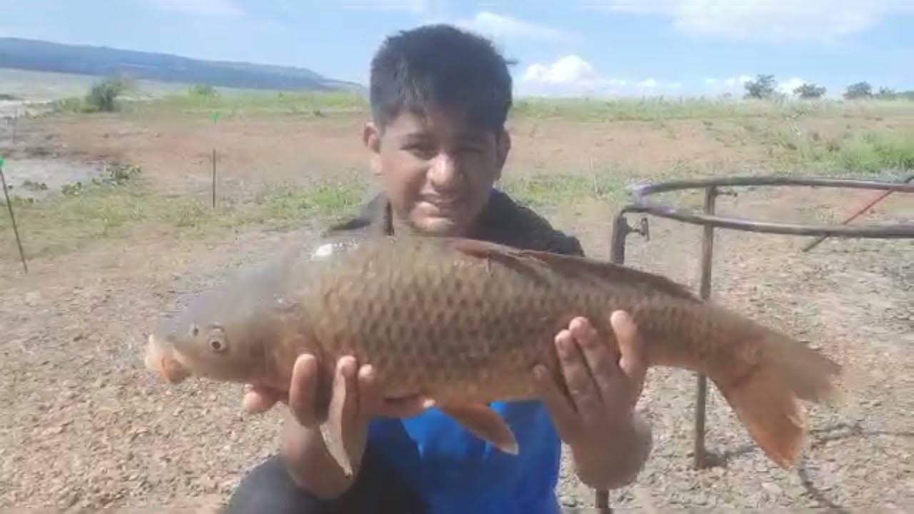 Testing my home made dips pips and feed huge carp caught!!!