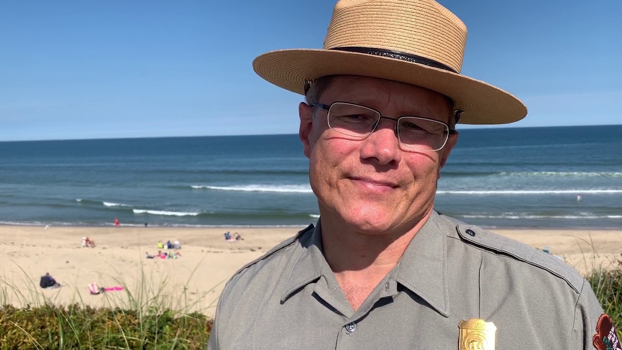 Cape Cod fatal shark attack: One year later