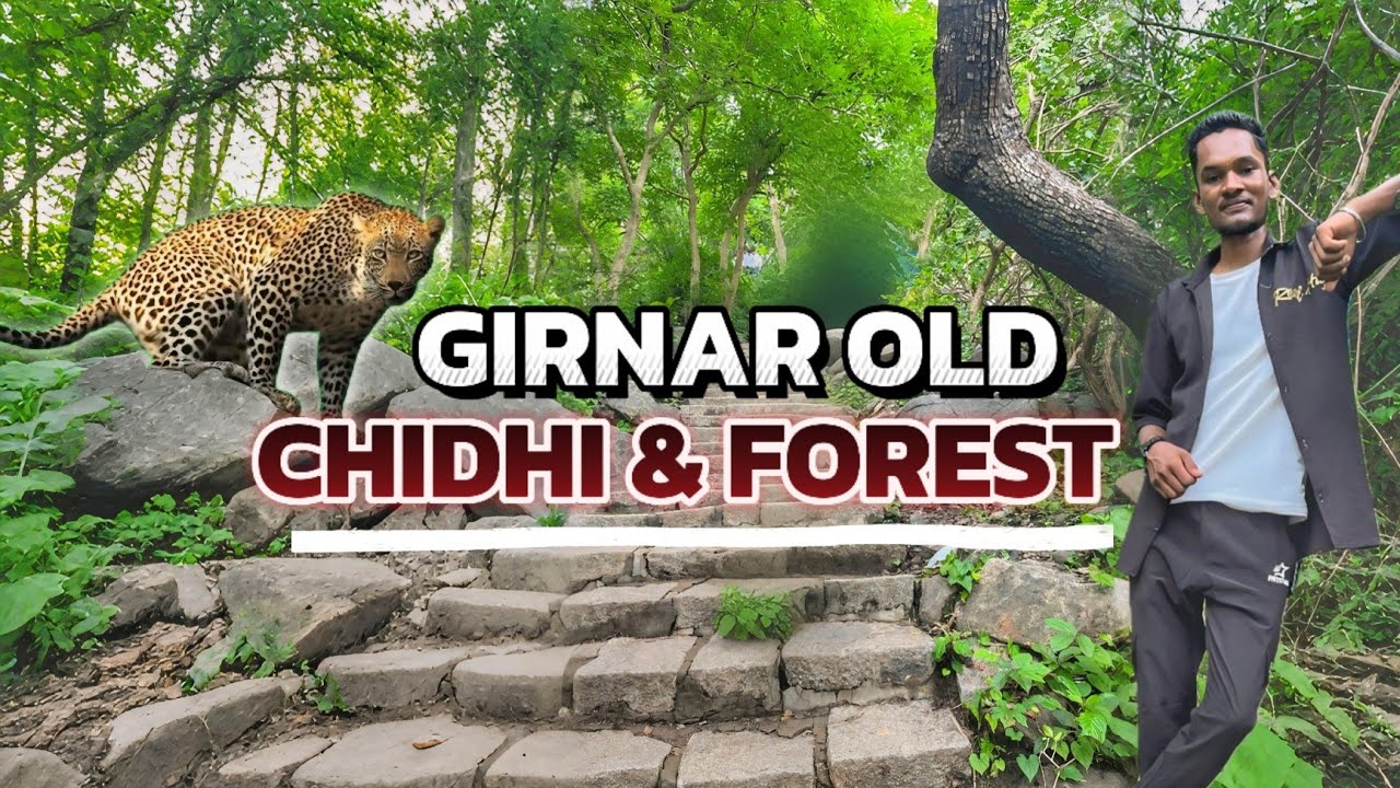Girnar best chidhi konsi hai‼️Girnar steps | Girnar ki purani chidhi | Girnar vlogs| Girnar Junagadh