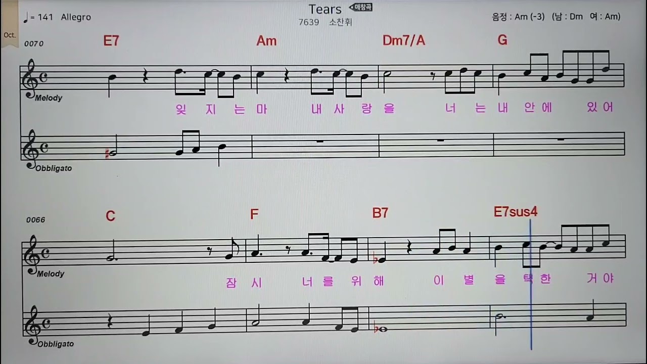 0번#티어스#Tears#소찬휘#악보#반주#조이킴과팬플룻프렌즈 #조이킴 #조이엔터테이먼트 #김오종 #panflute #창원팬플룻 #엘프반주기