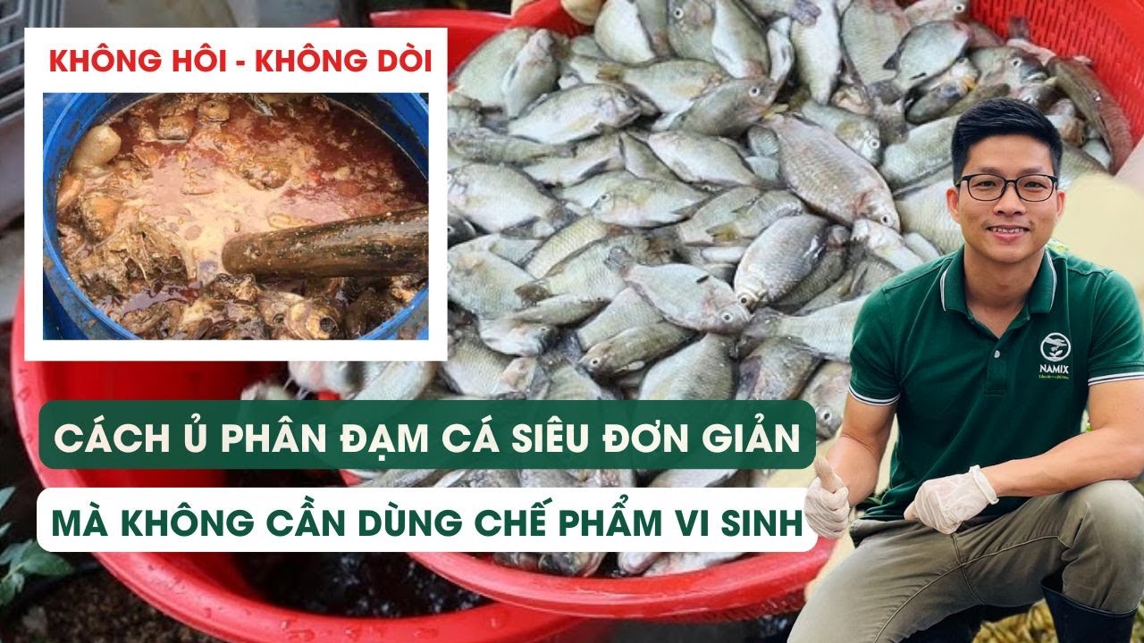 Tập 86 Cách ủ phân đạm cá thành công mà không dùng chế phẩm vi sinh