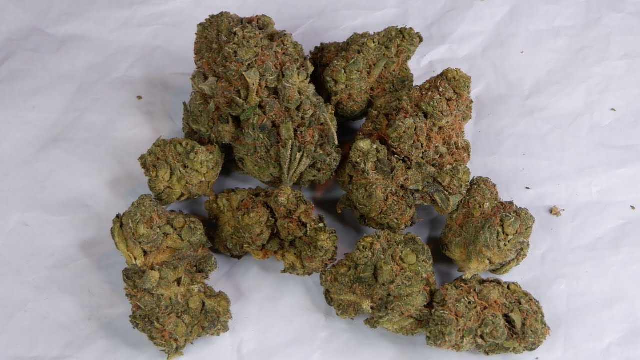 Strain Review Lemon Margy By Big Bag O' Buds