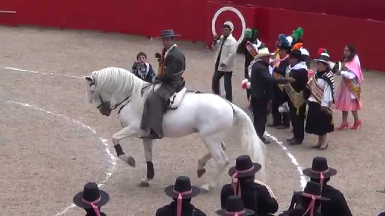 SAN PEDRO DE CAJAS 2014 INICIO DE LA TARDE TAURINA
