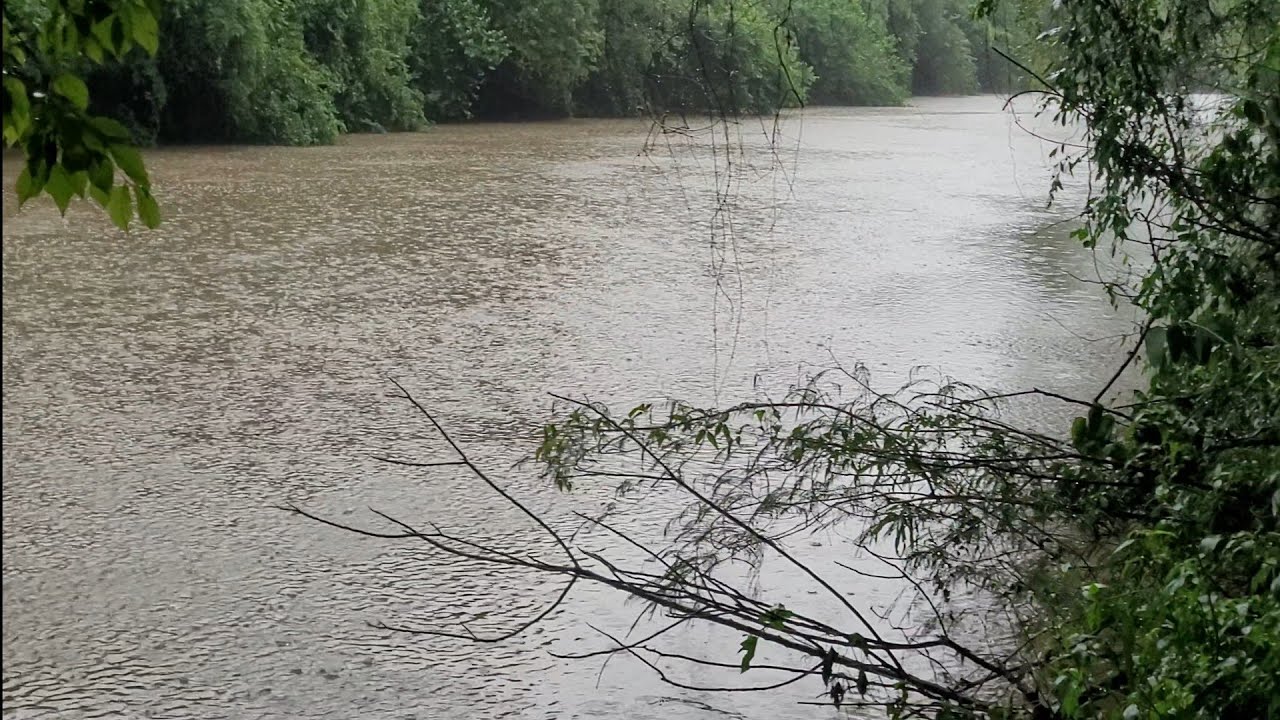 Pesca y Aventura en Misiones Argentina | Día Lluvioso 