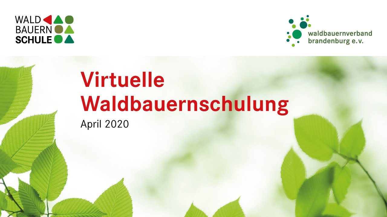 I. Online-Exkursion der Waldbauernschule Brandenburg