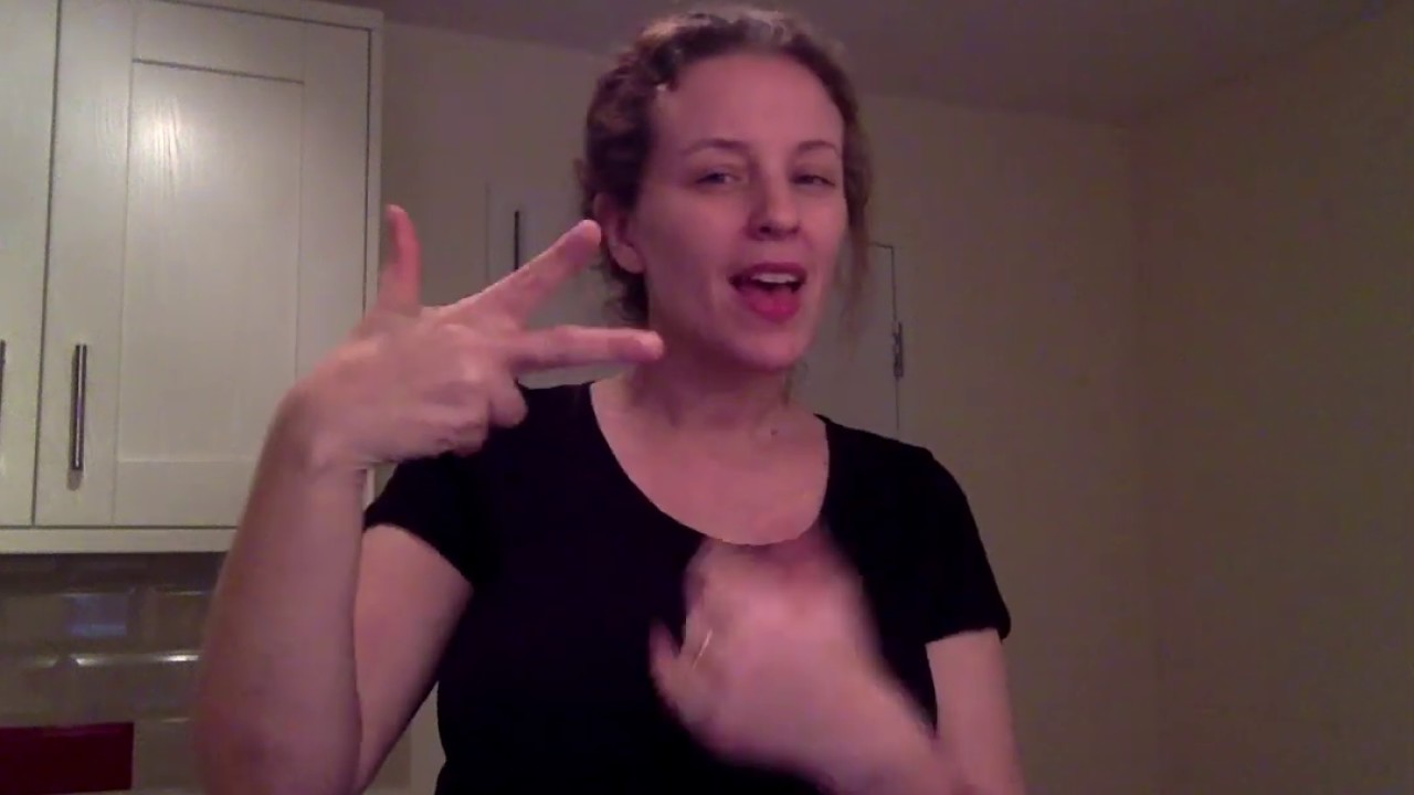 Translate English in to British Sign Language. Topic leisure.  [subtitles]