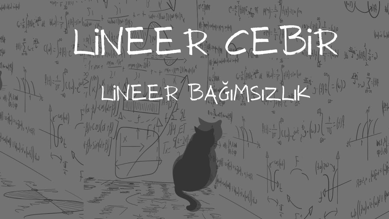 Lineer Cebir - Lineer Bağımsızlık