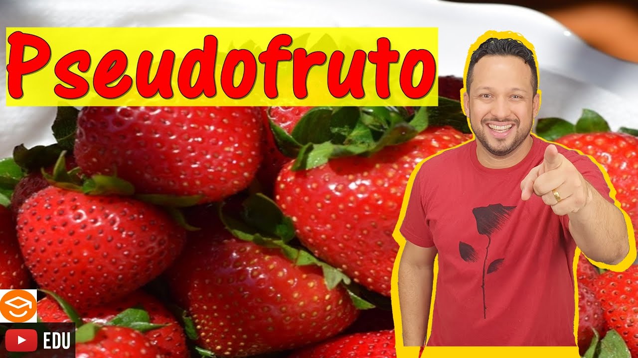 Pseudofruto ou Fruto Acessório - Conceito e Classificação - Morfologia Vegetal - Botânica