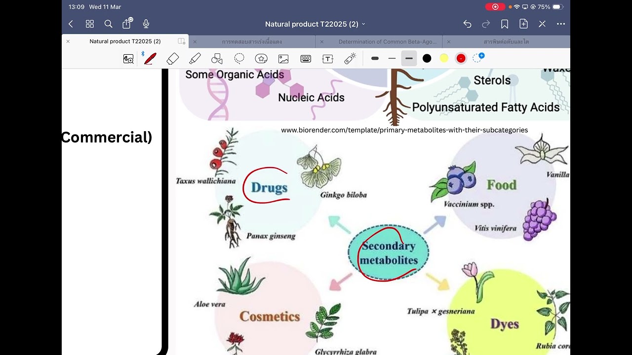 Inter_Natural product part 1