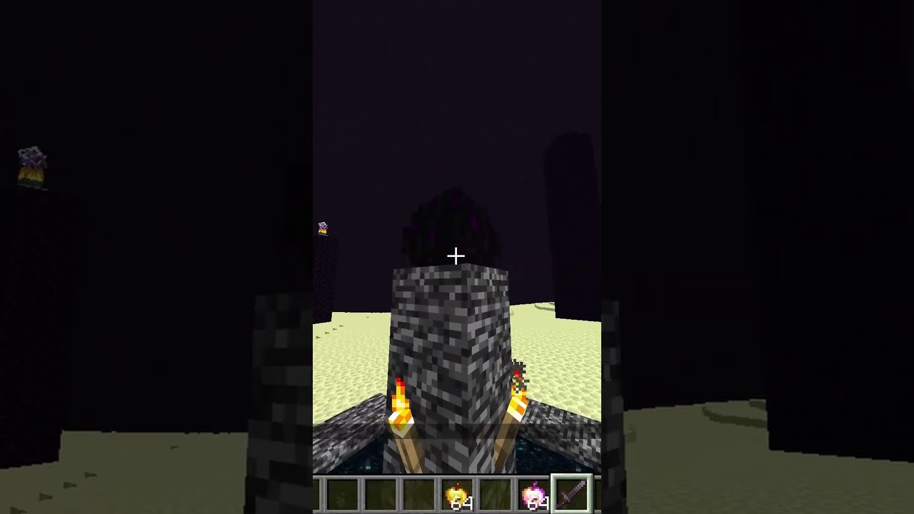 Minecraft&rsquo;s Most Intense End Fight #shorts