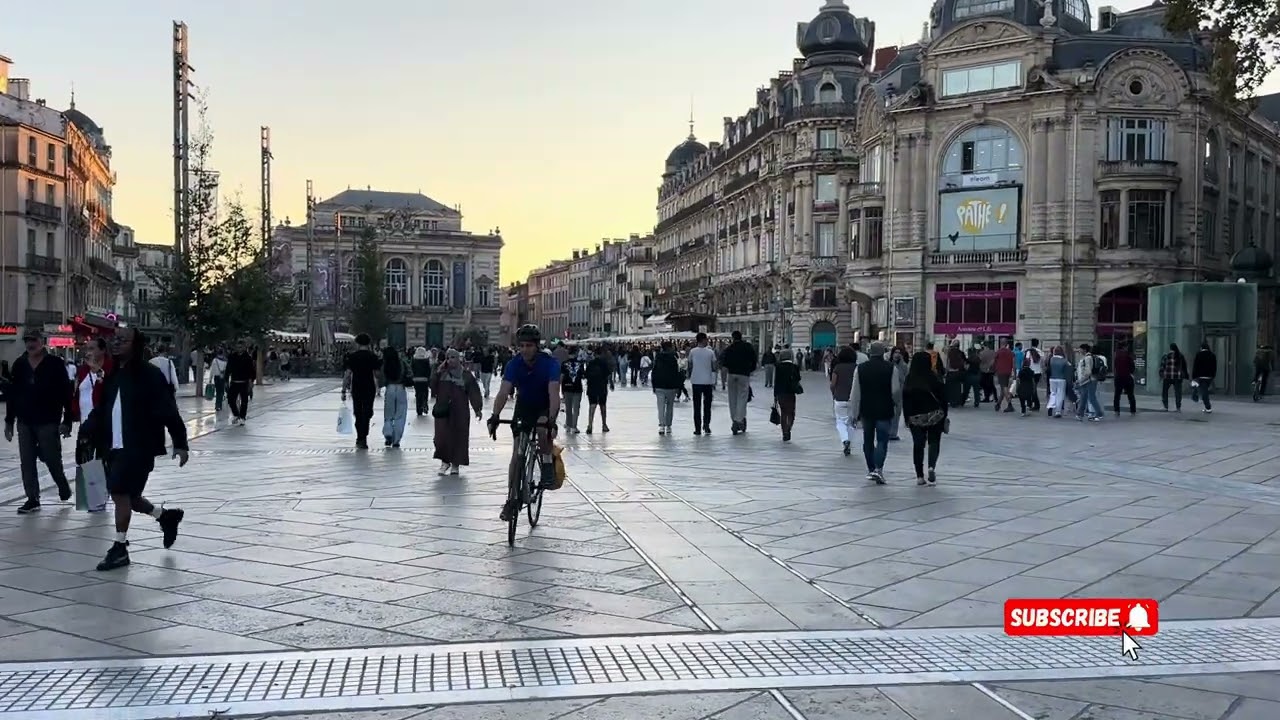 Comédie Montpellier France|Palestine Rally 