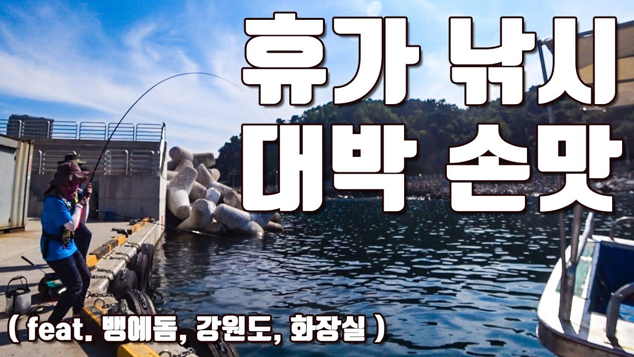 [다리tv] 피서지 대박 포인트!!! 뱅에돔 & 손맛 고기들!!! ☆ 강원도 외옹치항 ☆