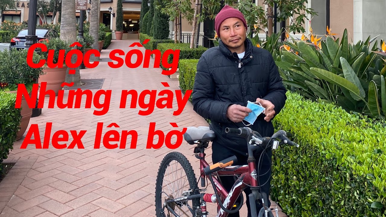 CUỘC SỐNG CỦA NHỮNG NGÀY ALEX LÊN BỜ TRỞ VỀ VỚI GIA ĐÌNH TẬP 1