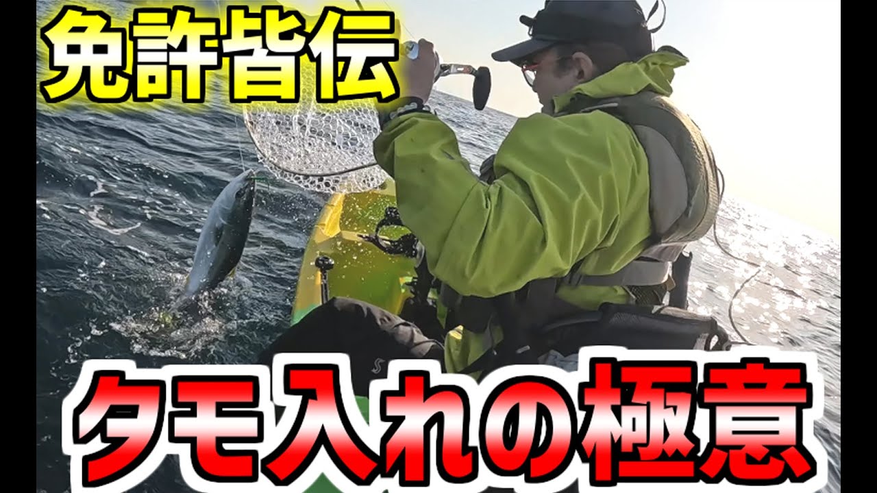【カヤックフィッシング】タモ入れの極意