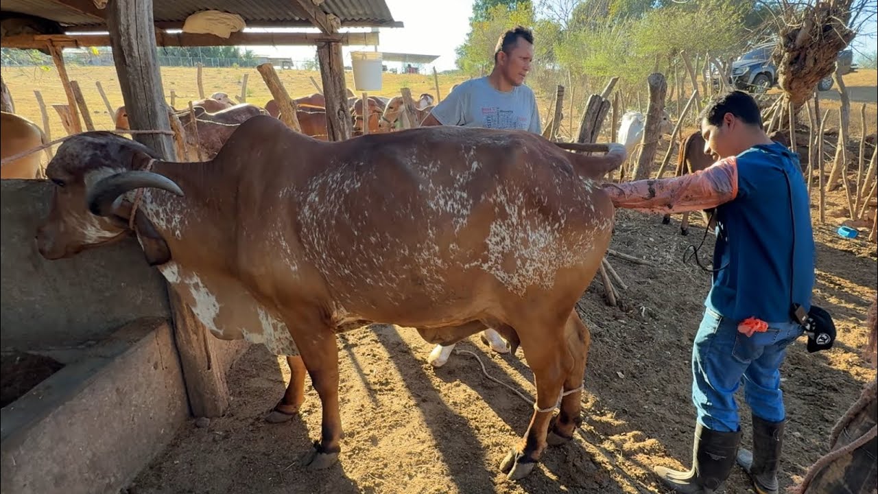 Mira como salio la millonaria y la corcholata 