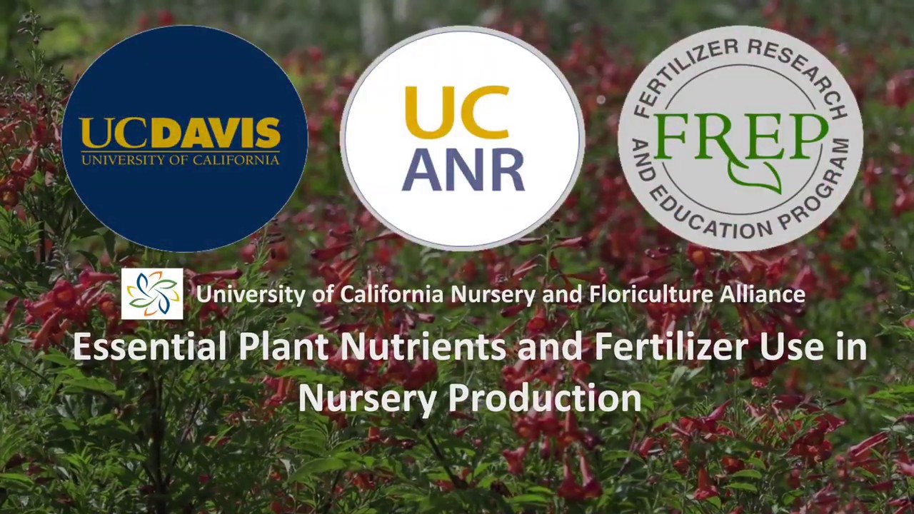 Essential Plant Nutrients and Fertilization in Nursery Production
