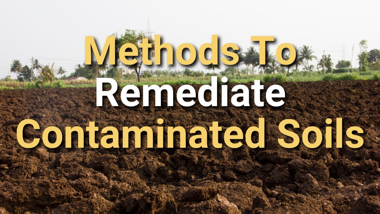 Restoring Polluted Soils: Effective Remediation Methods