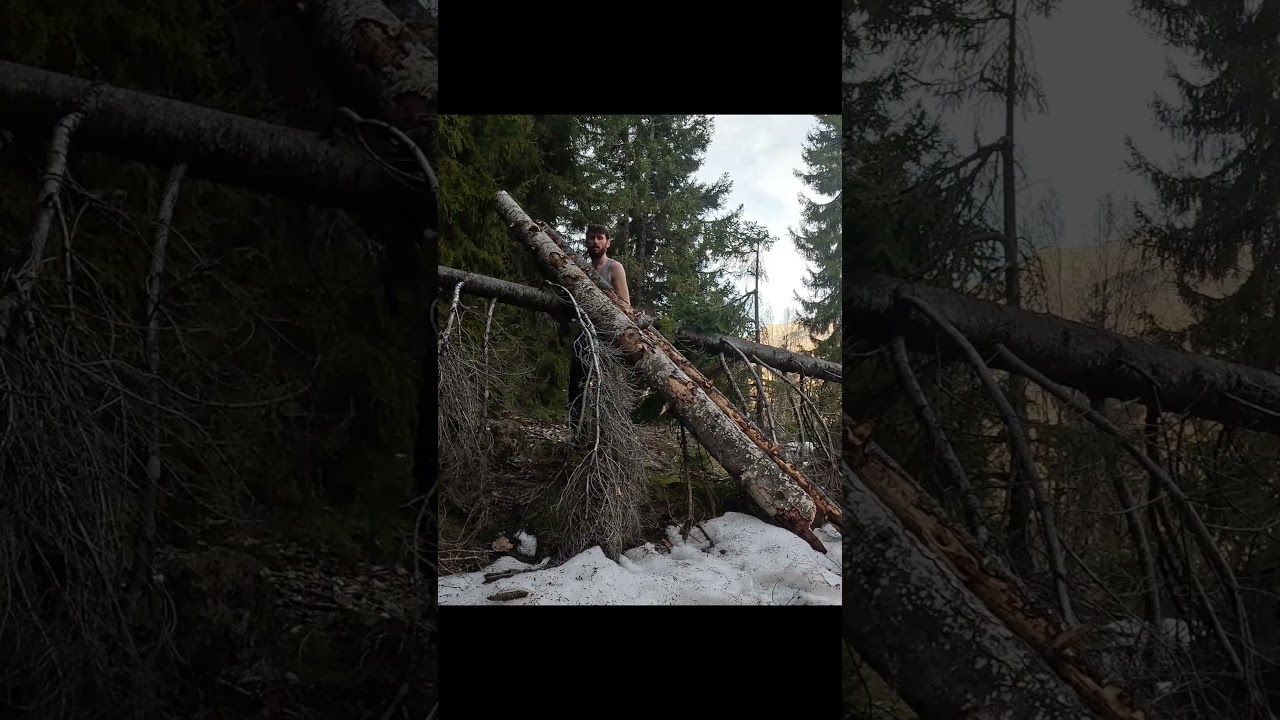 Comencé a construir una cabaña en el bosque. 